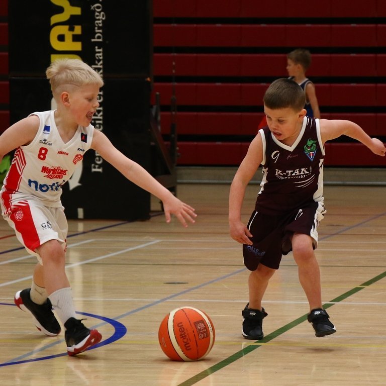 hreinsitaekni2022-pjo_7936