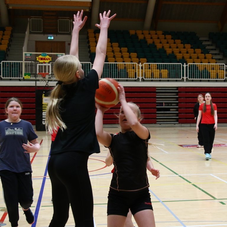 korfuboltabudir-stulkna-2024-pjo_7766