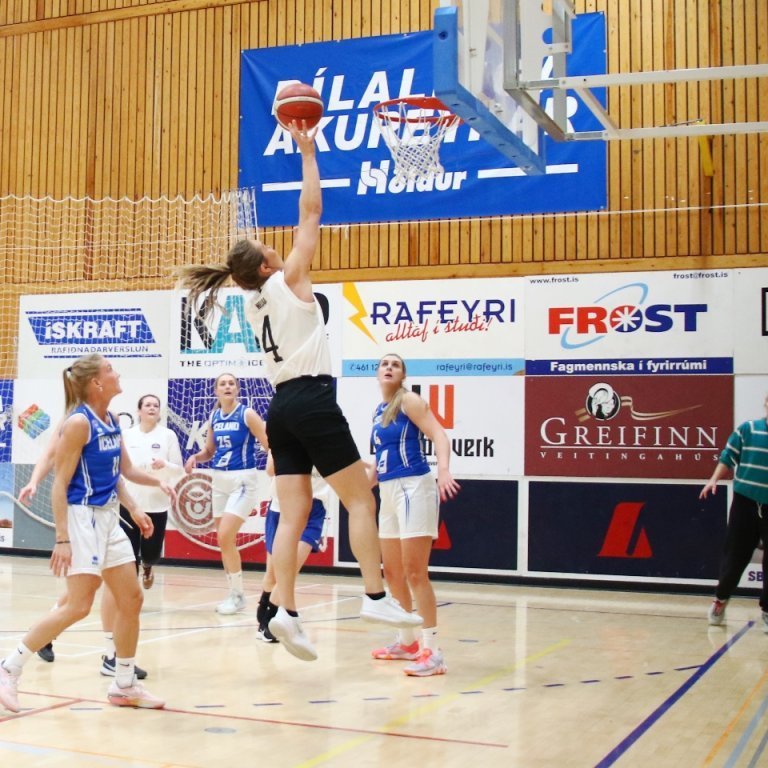 pollamot-2024-pjo_3960