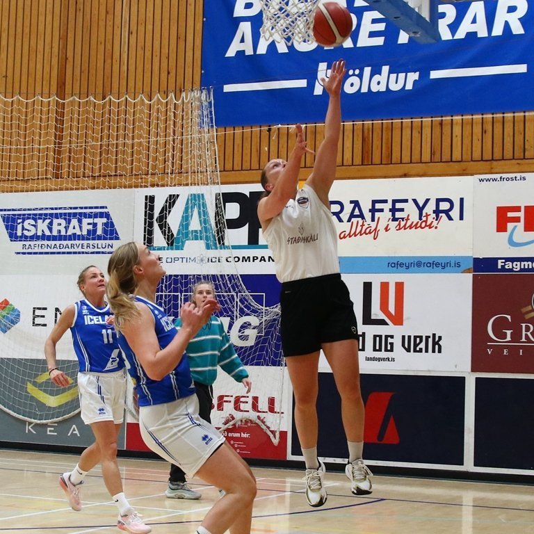 pollamot-2024-pjo_4013