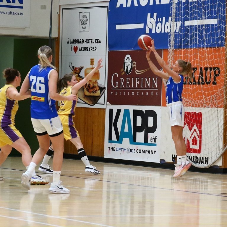 pollamot-2024-pjo_4216