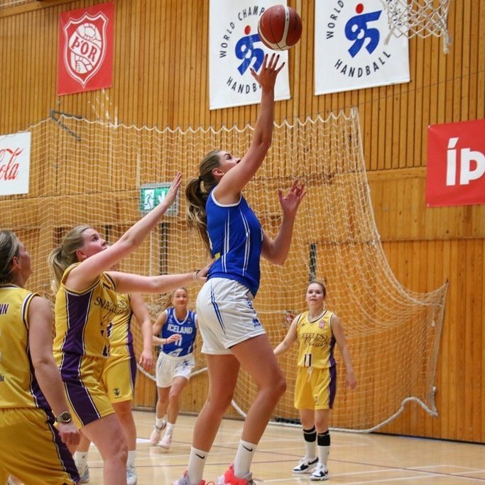 pollamot-2024-pjo_4235