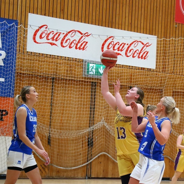 pollamot-2024-pjo_4263