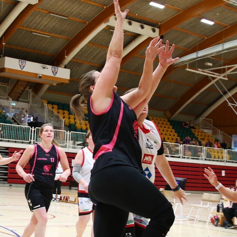 pollamot-2024-pjo_4303