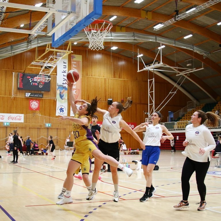 pollamot-2024-pjo_4324