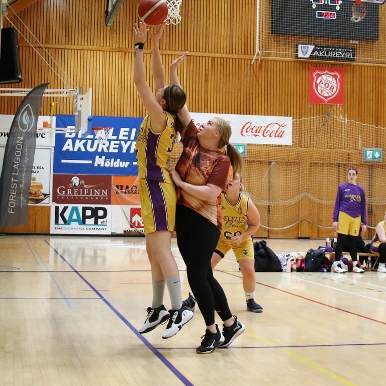 pollamot-2024-pjo_4400