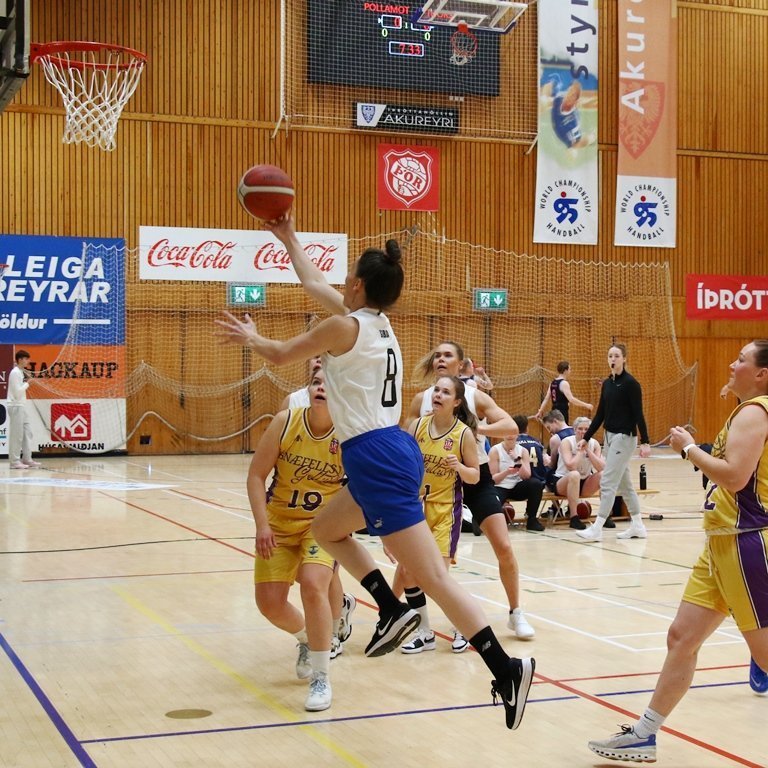 pollamot-2024-pjo_4699