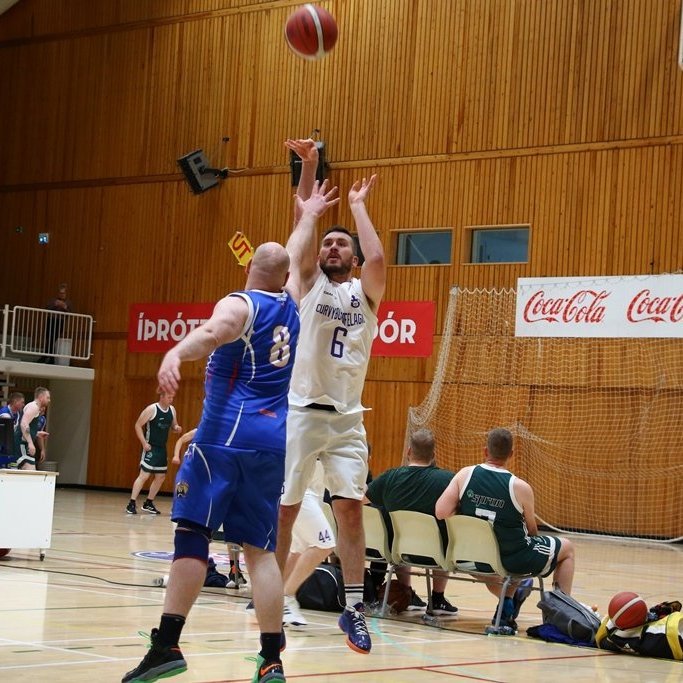 pollamot-2023-pjo_3163