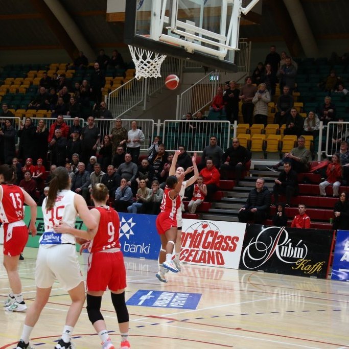 hrefna-med-thrist-pjo_6629