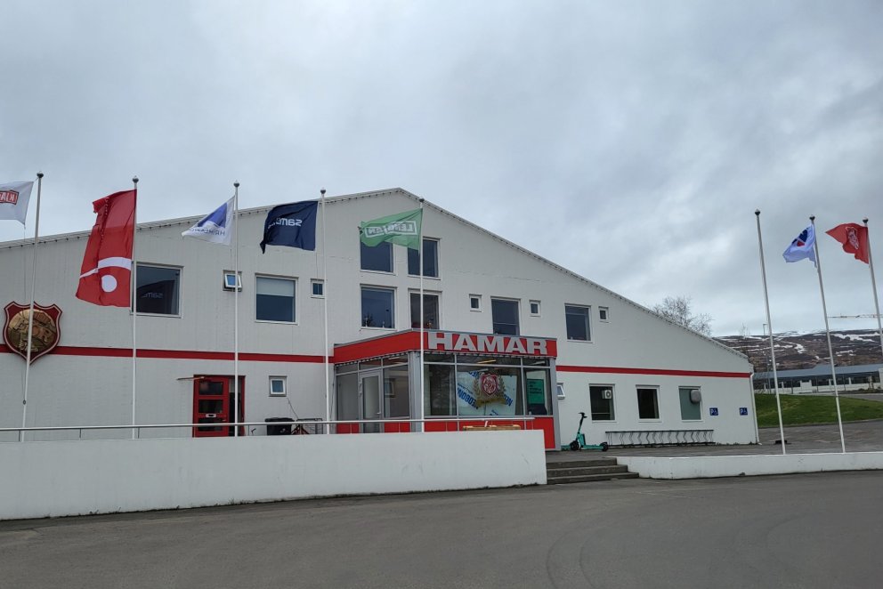 Enginn leikjaskóli í sumar