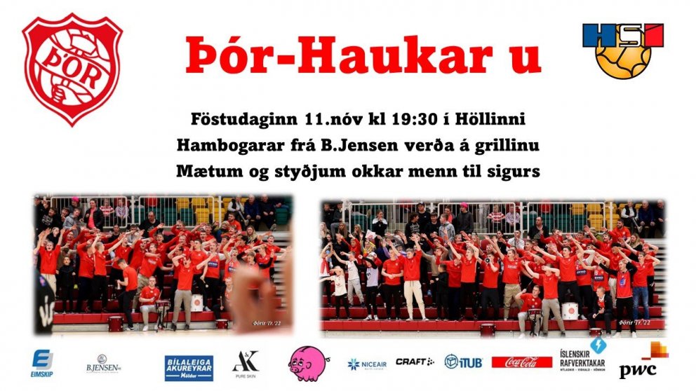 Handboltaveisla á föstudagskvöld