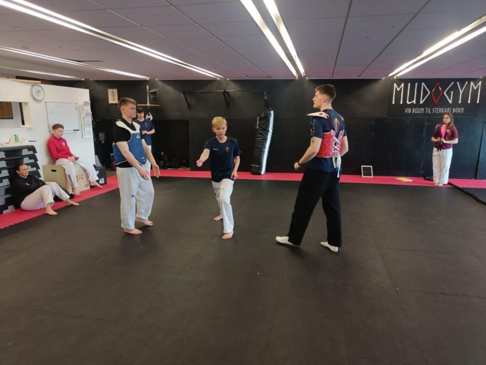 Námskeið/æfing fyrir aðstoðarfólk á AT mótum