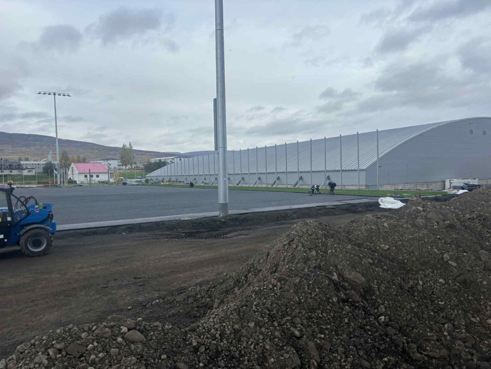 Ásinn byrjaður að grænka