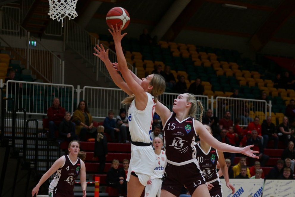 Baráttan um Norðurlandið