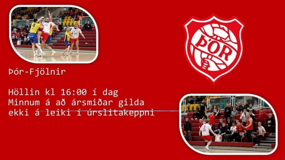 Stórleikur í handboltanum!