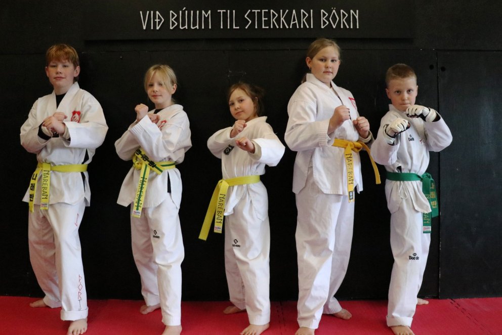 Taekwondo-krakkar frá Þór voru félaginu til sóma á AT-móti í Kópavogi um helgina.