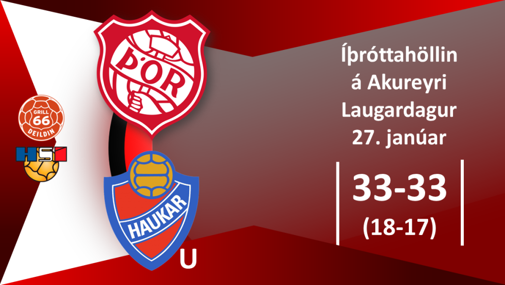 Handbolti: Arnór Þorri með 15 mörk í jafntefli